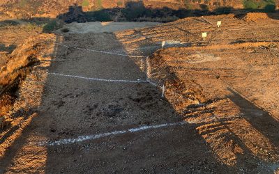 Excelente oportunidad para desarrollos habitacionales o comerciales.